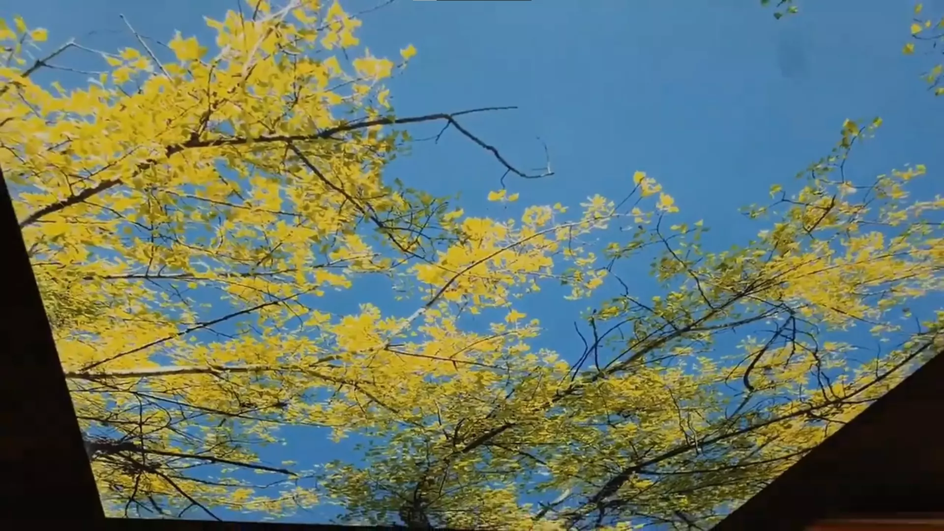 Южно-Сахалинск, #N/A, фото 2